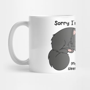 Sorry I'm Late, My Cat Was Sleeping On Me Mug